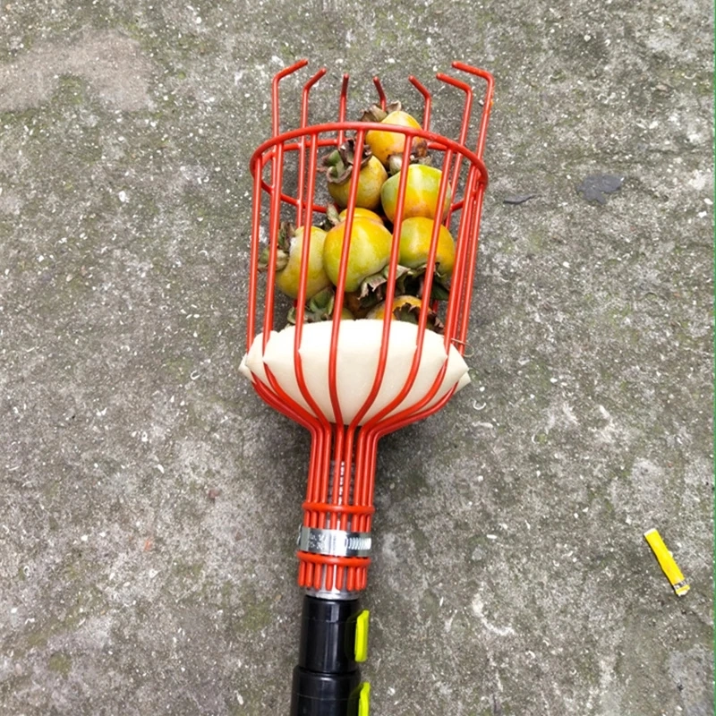 High-Altitude Fruit Picker Head Without Pole Metal/Plastic Fruit Collector Harvest Picking Apple Citrus Pear Garden Hand Tools