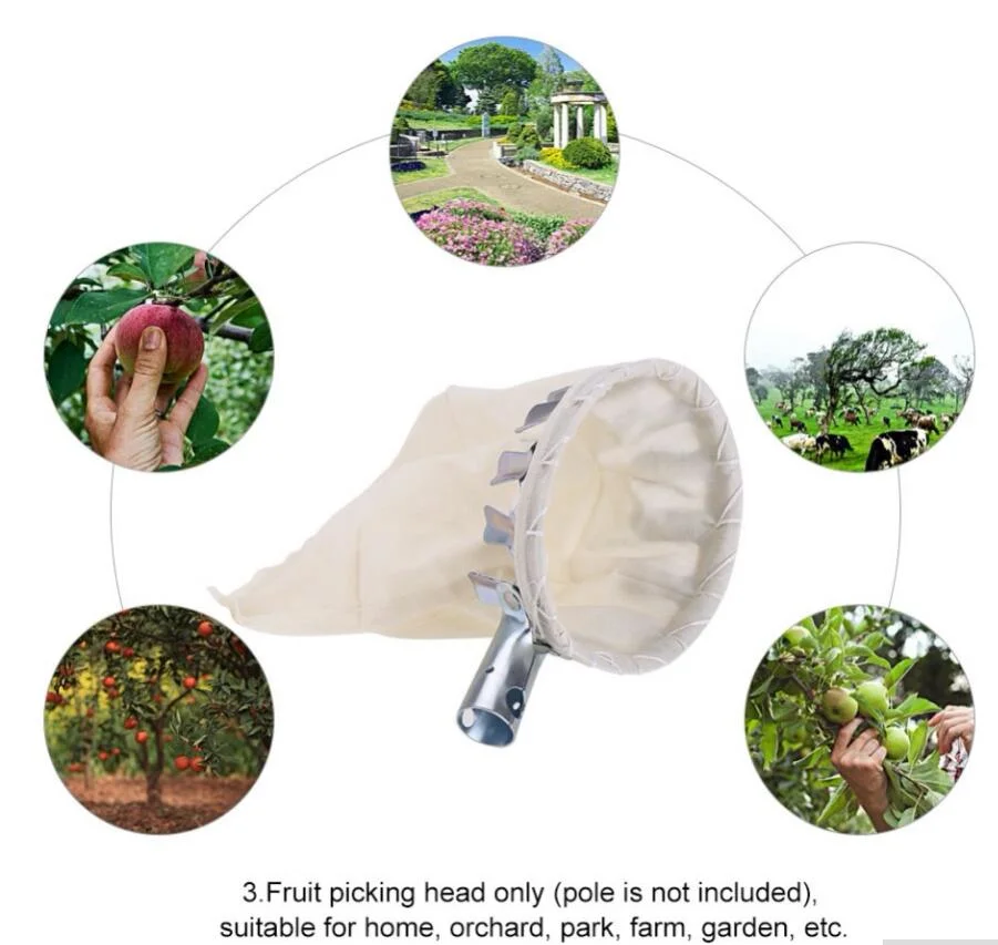 High-Altitude Fruit Picker Head Without Pole Metal/Plastic Fruit Collector Harvest Picking Apple Citrus Pear Garden Hand Tools