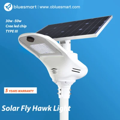 15W High Capacity Lithium-Ion Battery Solar Street Light for Pathway