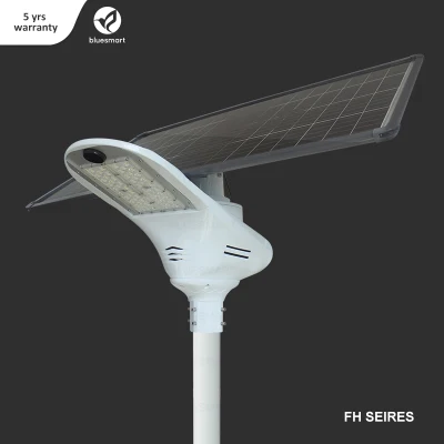China Outdoor Solar LED Street Light & Lamp